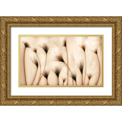 vaginae terram Gold Ornate Wood Framed Art Print with Double Matting by Perez Vazquez, Carlos