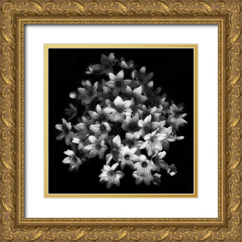 Early Sensation Gold Ornate Wood Framed Art Print with Double Matting by Depaepe, Yvette