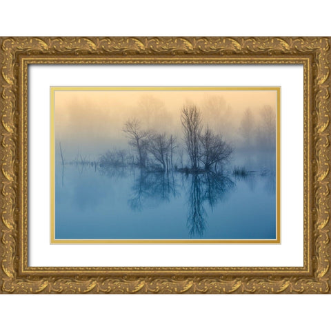 Morning reflection Gold Ornate Wood Framed Art Print with Double Matting by Butali, David