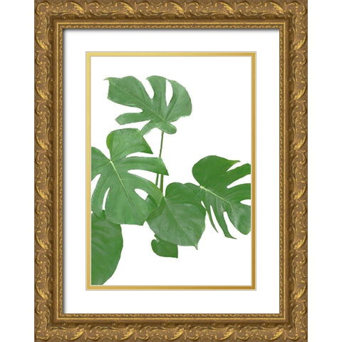 Monstera Green 02 Gold Ornate Wood Framed Art Print with Double Matting by Artographie Studio
