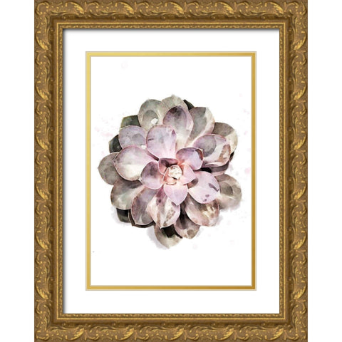 Succulent Plant 01 Gold Ornate Wood Framed Art Print with Double Matting by Artographie Studio