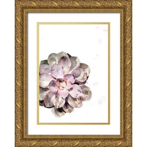 Succulent Plant 02 Gold Ornate Wood Framed Art Print with Double Matting by Artographie Studio