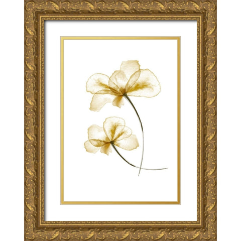 Pressed Flowers Gold Ornate Wood Framed Art Print with Double Matting by Artographie Studio