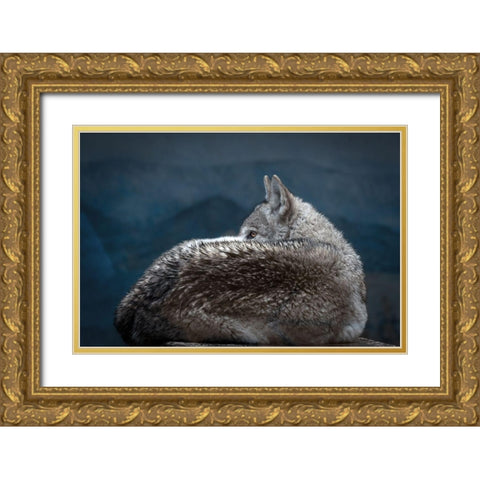 Rainy day eye Gold Ornate Wood Framed Art Print with Double Matting by Itoyama, Eiji