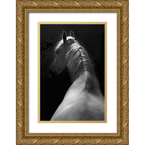 Impression Gold Ornate Wood Framed Art Print with Double Matting by Malovrh, Milan