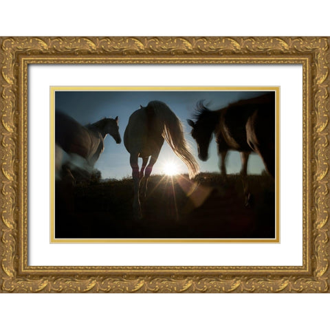Sunrise Gold Ornate Wood Framed Art Print with Double Matting by Malovrh, Milan