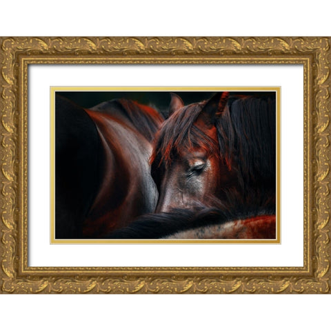 Sleep huddle Gold Ornate Wood Framed Art Print with Double Matting by Stantchev, Martin