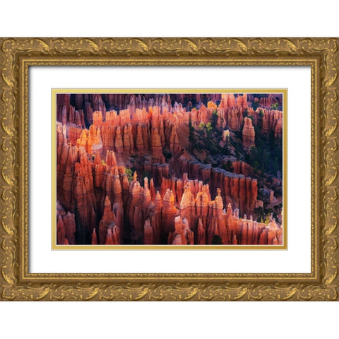 Bryce Canyon at Sunset Gold Ornate Wood Framed Art Print with Double Matting by Austin
