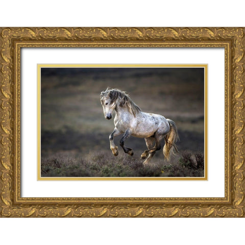 Wild Wild West Gold Ornate Wood Framed Art Print with Double Matting by Verdon