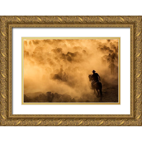 Cappadocia wild horses Gold Ornate Wood Framed Art Print with Double Matting by Mirica, Dan