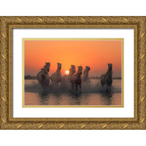 Sunset in Camargue Gold Ornate Wood Framed Art Print with Double Matting by Anton, Rostovskiy
