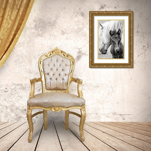 The Foal Gold Ornate Wood Framed Art Print with Double Matting by Parker, Jacky