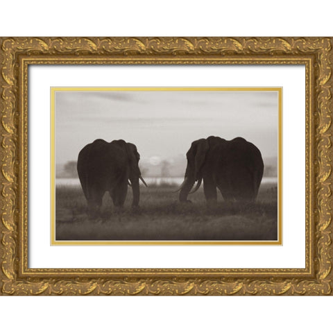 African Elephants at sunrise-Amboseli National Reserve-Kenya Sepia Gold Ornate Wood Framed Art Print with Double Matting by Fitzharris, Tim
