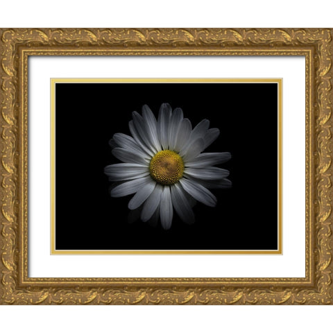 Backyard Flowers White 60 Gold Ornate Wood Framed Art Print with Double Matting by Carson, Brian