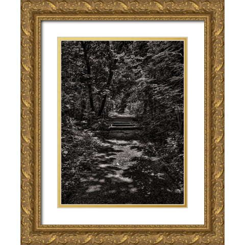Walk in the Park Gold Ornate Wood Framed Art Print with Double Matting by Carson, Brian