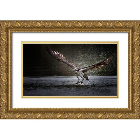 Deadly Catch Gold Ornate Wood Framed Art Print with Double Matting by Chang, Phillip