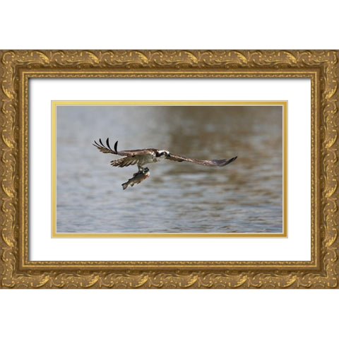 Successful catch Gold Ornate Wood Framed Art Print with Double Matting by Chang, Phillip