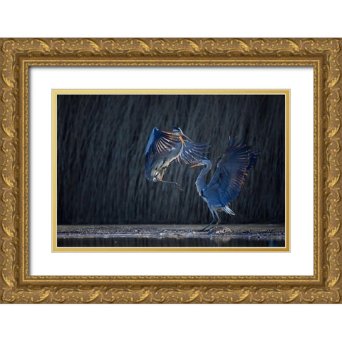Grey heron Gold Ornate Wood Framed Art Print with Double Matting by Chang, Phillip