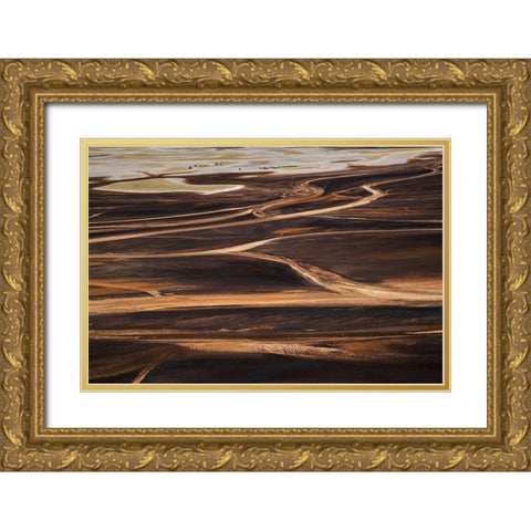 The wild Gold Ornate Wood Framed Art Print with Double Matting by Chang, Phillip