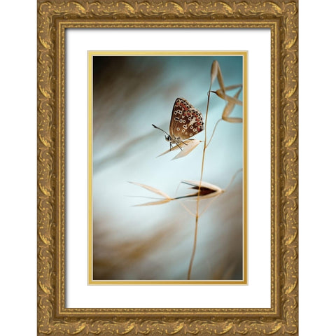 Dream in blue Gold Ornate Wood Framed Art Print with Double Matting by Bravin, Fabien