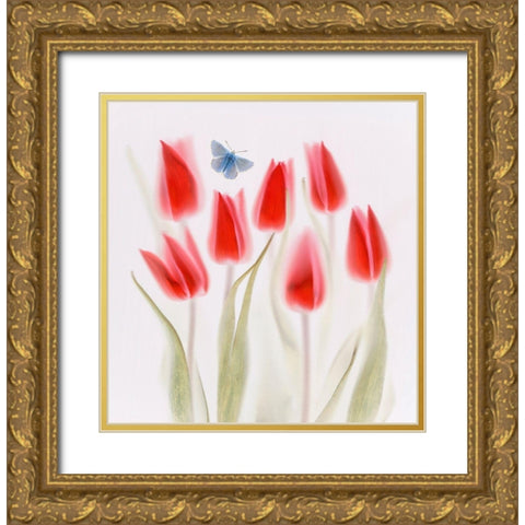 Red Tulips Gold Ornate Wood Framed Art Print with Double Matting by Haslam, Brian
