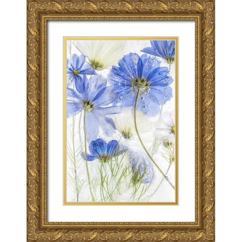Cosmos blue Gold Ornate Wood Framed Art Print with Double Matting by Disher, Mandy