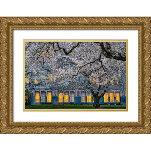 Morning at University of Washington Gold Ornate Wood Framed Art Print with Double Matting by Jacobs, Lydia