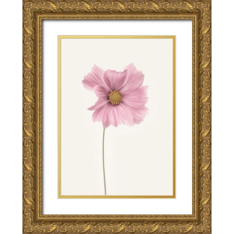 Cosmos flower Gold Ornate Wood Framed Art Print with Double Matting by Gronkjar, Lotte