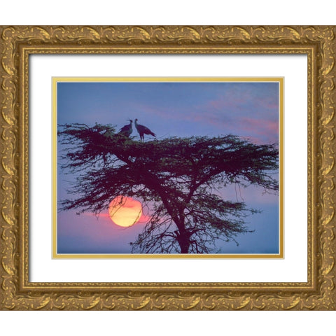 Secretary Birds Gold Ornate Wood Framed Art Print with Double Matting by Fitzharris, Tim