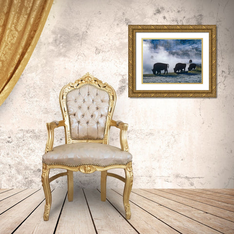 Bison at a Hot Spring-Yellowstone National Park-Wyoming Gold Ornate Wood Framed Art Print with Double Matting by Fitzharris, Tim