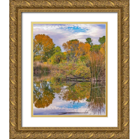 Dead Horse Ranch State Park-Arizona-USA Gold Ornate Wood Framed Art Print with Double Matting by Fitzharris, Tim