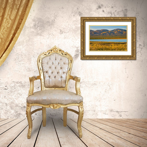 Yellow Daisies and Tremblor Range Gold Ornate Wood Framed Art Print with Double Matting by Fitzharris, Tim