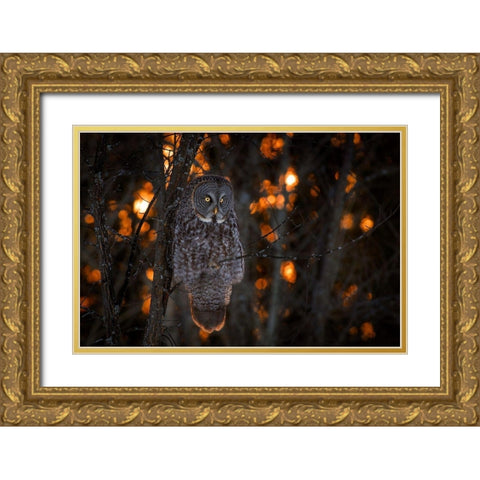 As the Sun Goes Down Gold Ornate Wood Framed Art Print with Double Matting by Kalathas, Nick