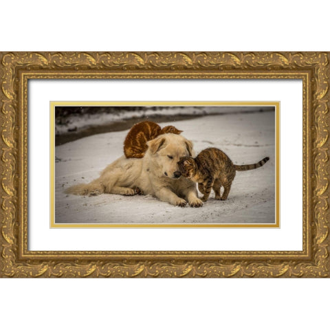 sweet effusions Gold Ornate Wood Framed Art Print with Double Matting by Lucidi, Riccardo