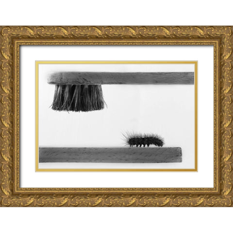 dear friend Gold Ornate Wood Framed Art Print with Double Matting by Mallus, Stefano