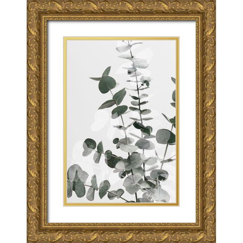 Eucalyptus Creative 06 Gold Ornate Wood Framed Art Print with Double Matting by Artographie Studio