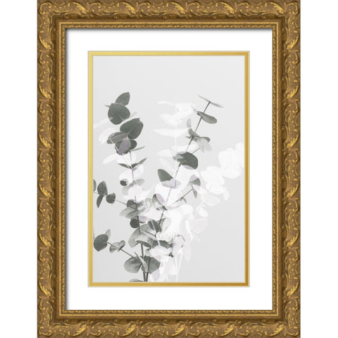 Eucalyptus Creative 08 Gold Ornate Wood Framed Art Print with Double Matting by Artographie Studio
