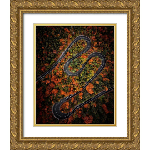 Curves Gold Ornate Wood Framed Art Print with Double Matting by Razvan