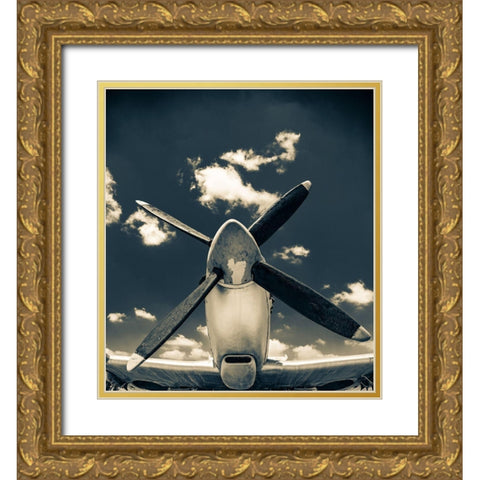 Missing the sky Gold Ornate Wood Framed Art Print with Double Matting by Haras, Lari