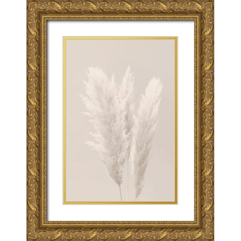 White Grasses Gold Ornate Wood Framed Art Print with Double Matting by Artographie Studio