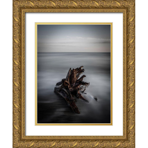 Naufrago Gold Ornate Wood Framed Art Print with Double Matting by Lintaman, Adachi