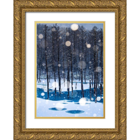 Never never Land Gold Ornate Wood Framed Art Print with Double Matting by Sono, Hidenori