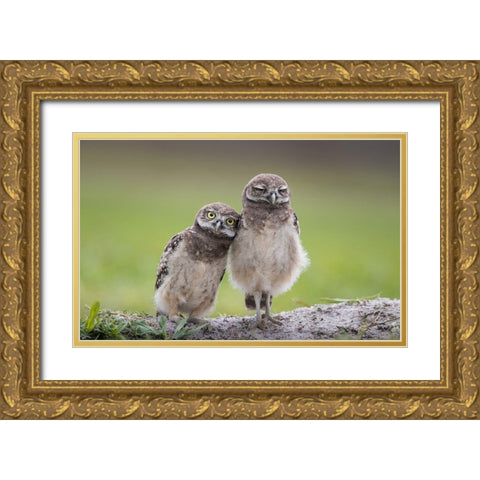 Friends Gold Ornate Wood Framed Art Print with Double Matting by Barsh, Greg