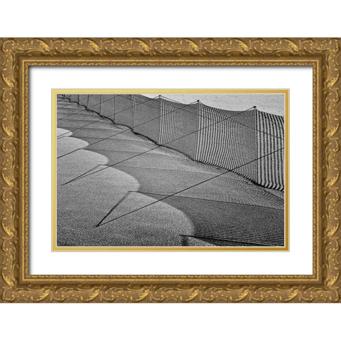 Sand Drift Barrier 3 Gold Ornate Wood Framed Art Print with Double Matting by Ebert, Steffen