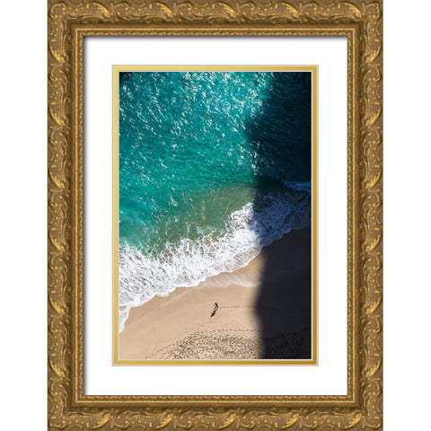 Shadow Chase Gold Ornate Wood Framed Art Print with Double Matting by Puji Anggriawan, Prianto