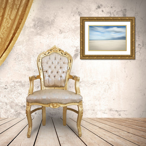 Birds at the seaside Gold Ornate Wood Framed Art Print with Double Matting by Reichelt, Dieter