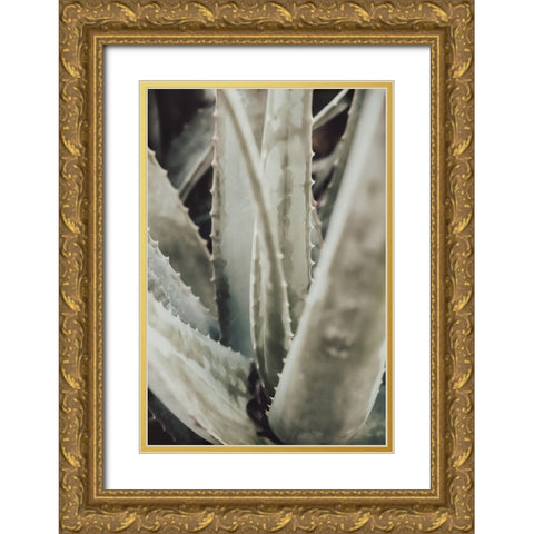 Aloe 001 Gold Ornate Wood Framed Art Print with Double Matting by Artographie Studio