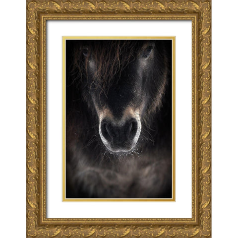 Ulysses Gold Ornate Wood Framed Art Print with Double Matting by R I, P