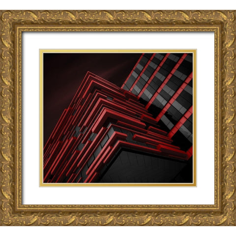 Blood Stream Gold Ornate Wood Framed Art Print with Double Matting by Jonas, Nadav