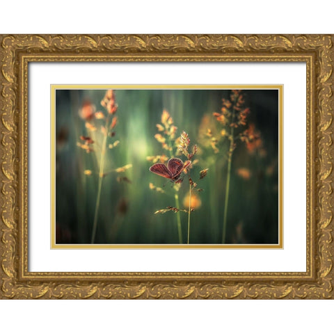 Last Light Gold Ornate Wood Framed Art Print with Double Matting by Vinogradof, Florentin